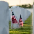 InMemoriam Data as a Service